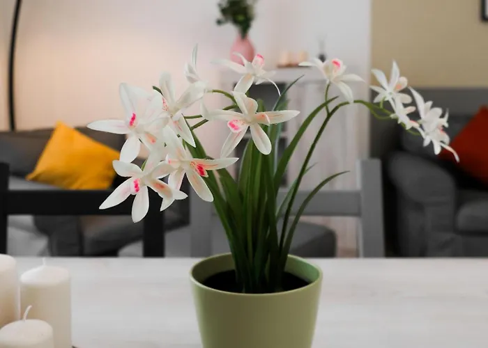 Affittacamere Le Triplette 4*