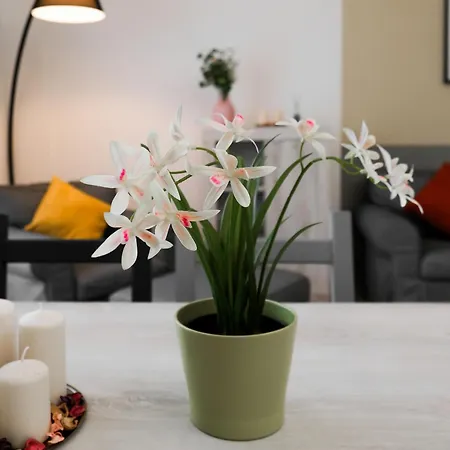 Guest house Le Triplette 4*